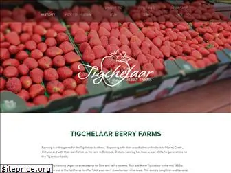 tigchelaarberries.com