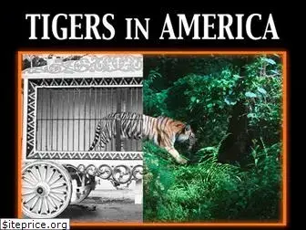 tigersinamerica.org