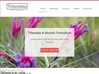 tillandsia.it