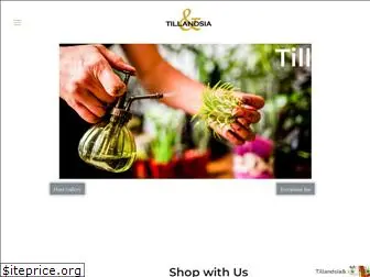 tillandsialeola.com