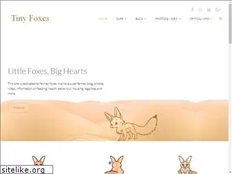 tiny-foxes.com