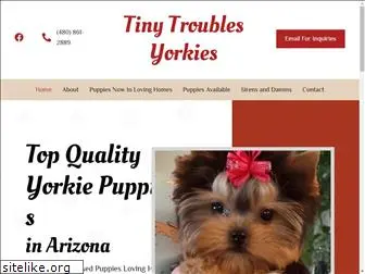 tinytroublesyorkies.com