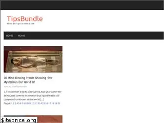 tipsbundle.com