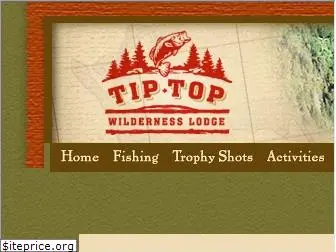 tiptoplodge.com