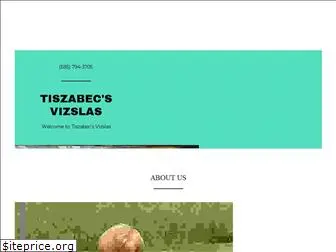 tiszabecsvizslas.com
