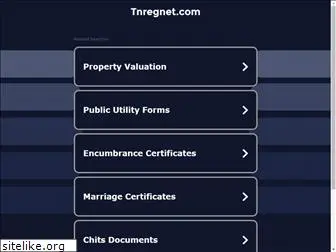 tnregnet.com