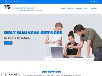 tnsconsulting.in