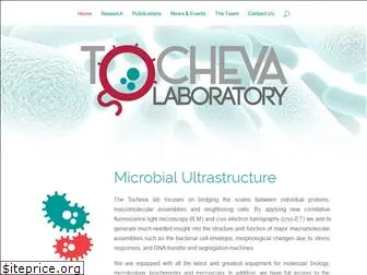 tochevalab.org