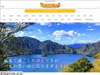 tochinoichi.com