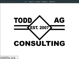 toddagconsulting.com