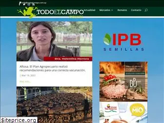 todoelcampo.com.uy