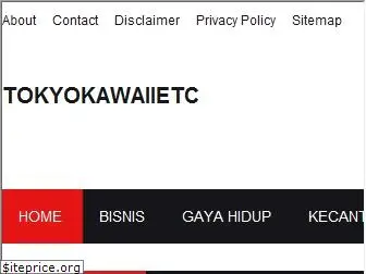 tokyokawaiietc.com