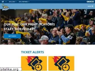 toledowalleye.com