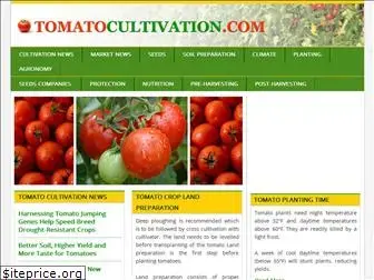 tomatocultivation.com
