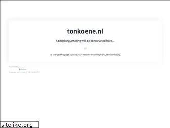tonkoene.nl