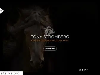 tonystromberg.com