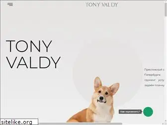 tonyvaldy.com
