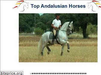 topandalusianhorses.com
