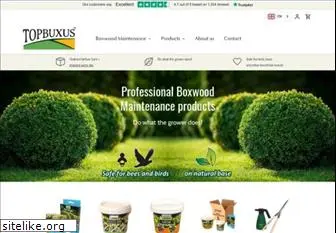 topbuxus.com