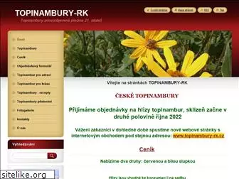 topinambury-rk.cz