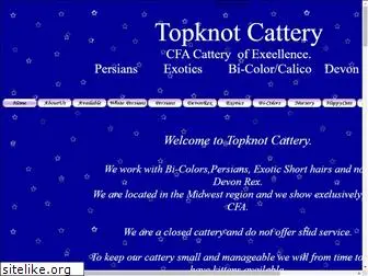 topknotcattery.com