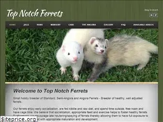 topnotchferrets.com