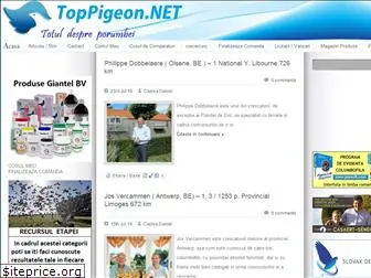 toppigeon.net