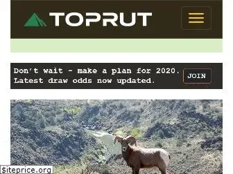 toprut.com