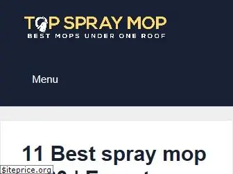 topspraymop.com