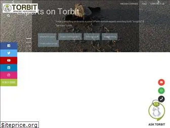 torbitconsulting.com