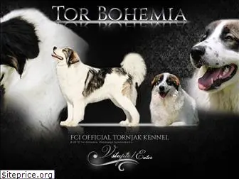torbohemia.com