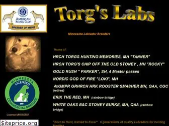 torgslabs.com