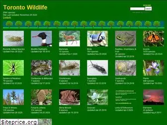 toronto-wildlife.com