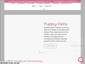 torontodogwalking.com