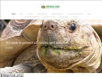 tortoise.com