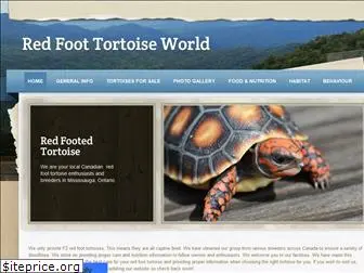 tortoiselove.weebly.com