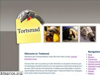 tortsmad.com