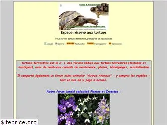 tortues-terrestres.forumactif.com