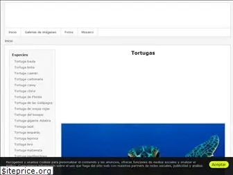 tortugaswiki.com