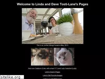 tosti-lane.com