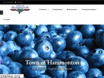 townofhammonton.org