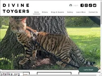 toygers.org