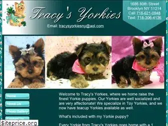 tracysyorkiesny.com