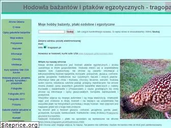 tragopan.pl