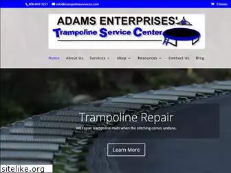 trampolineservices.com