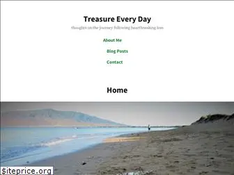 treasure-every-day.com