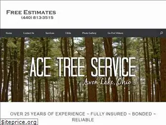 treeace.com