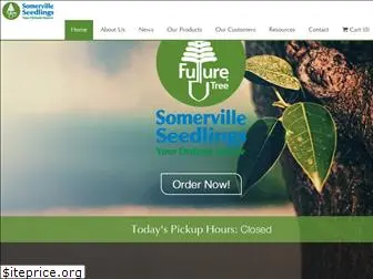 treeseedlings.com