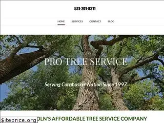 treeservicelincoln.com