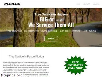 treeservicepascofl.com